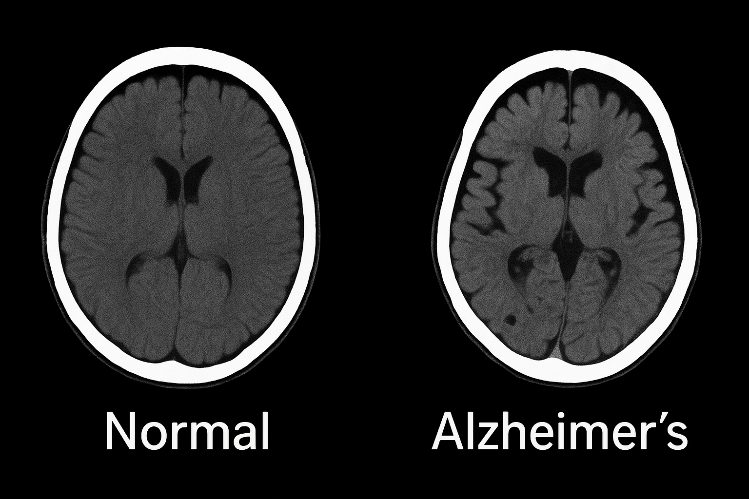원이(가) 표시된 사진  AI가 생성한 콘텐츠는 부정확할 수 있습니다.