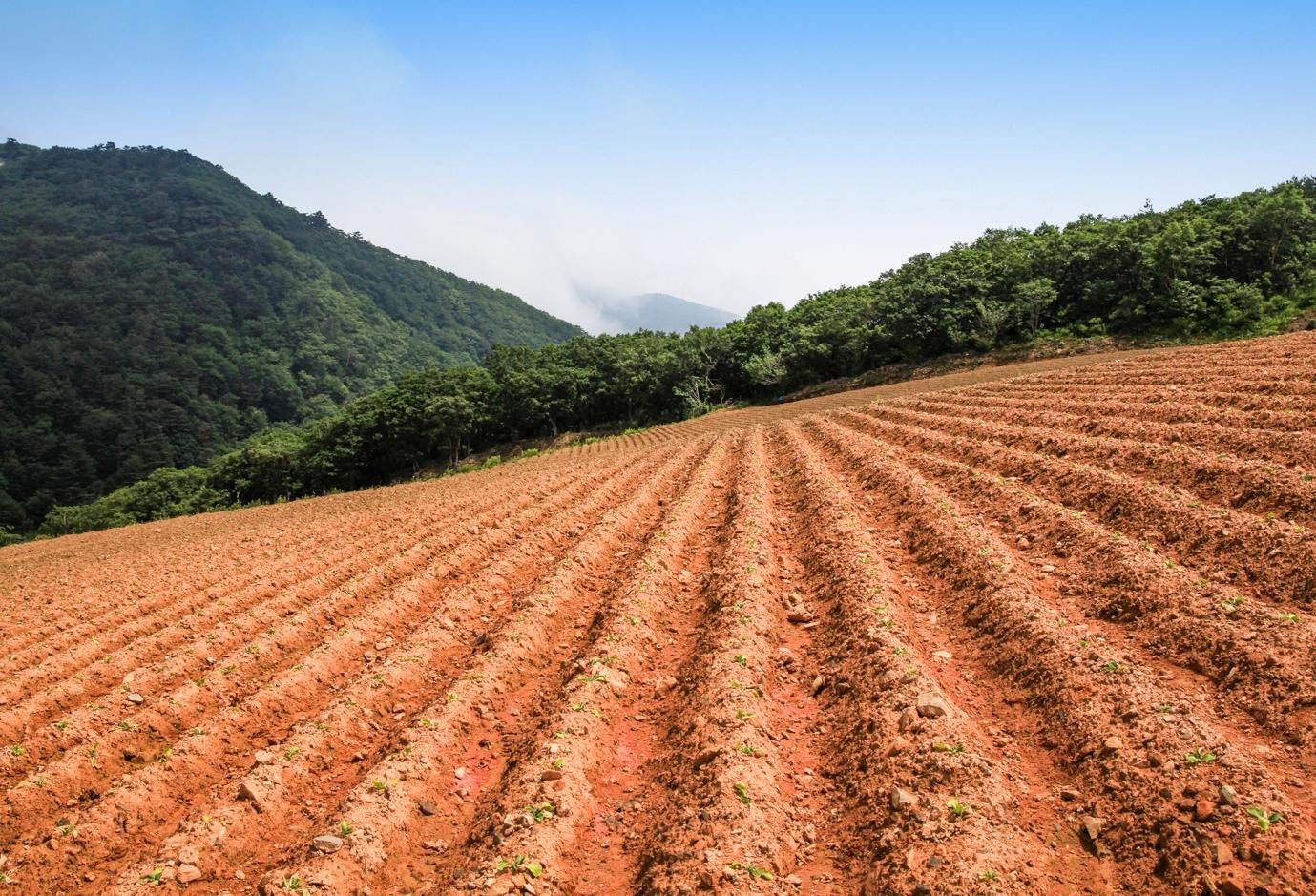 야외, 하늘, 농업, 경치이(가) 표시된 사진 AI가 생성한 콘텐츠는 부정확할 수 있습니다.