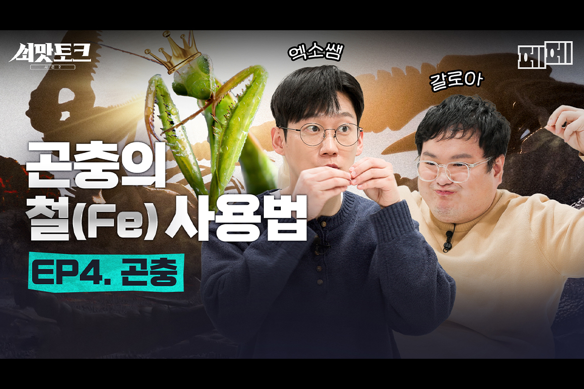 현대제철_대표_1200_800_곤충의 철 사용법